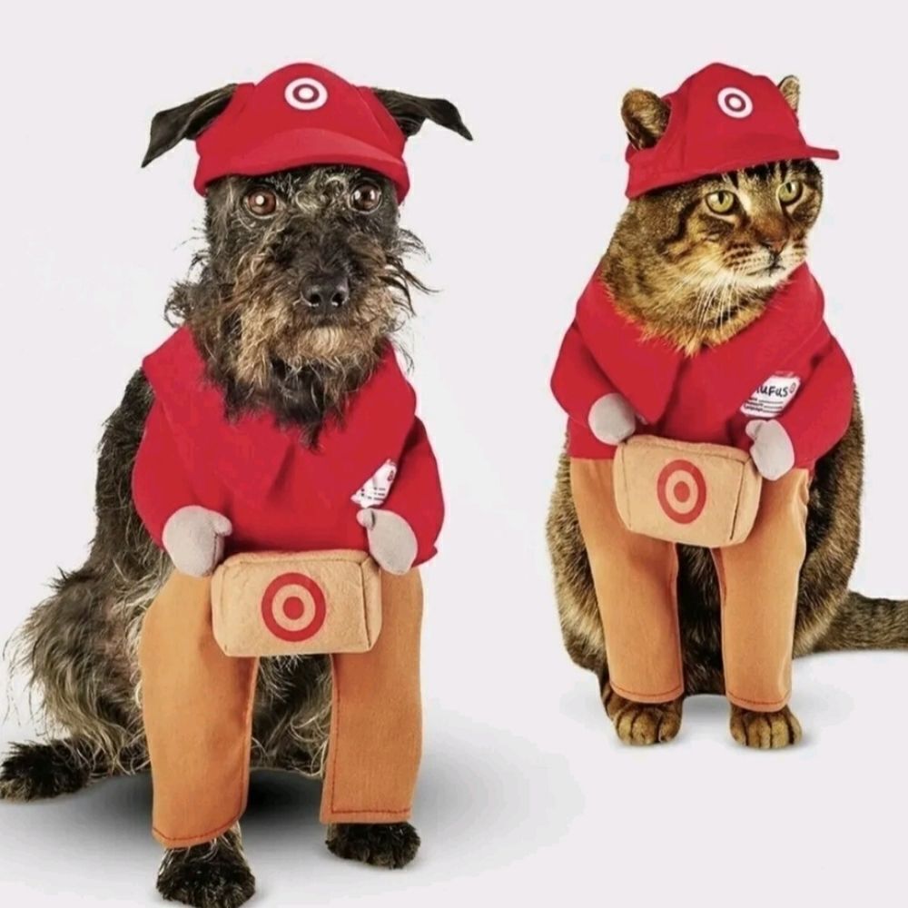 Target Delivery Halloween Dog Costume Hyde & Eek